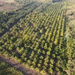 listing image thumbnail with ID 3752