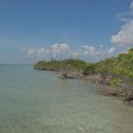 listing image thumbnail with ID 3645