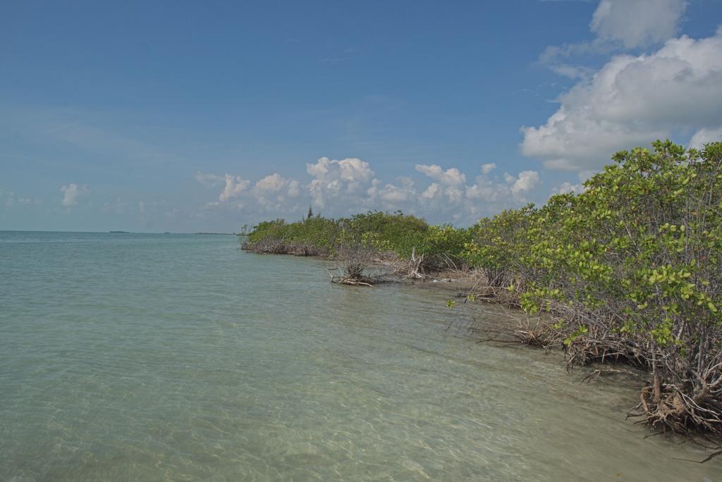 listing image with ID 3645