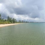 listing image thumbnail with ID 1958