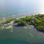 listing image thumbnail with ID 4774