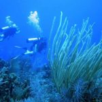 listing image thumbnail with ID 2166