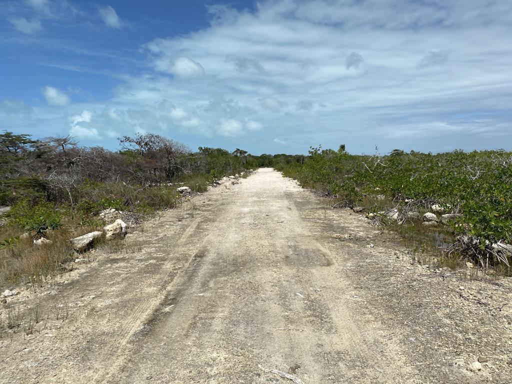listing image with ID 1501