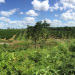 listing image thumbnail with ID 3749