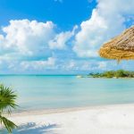 listing image thumbnail with ID 1348