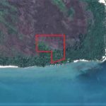 listing image thumbnail with ID 1924