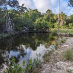 listing image thumbnail with ID 6149