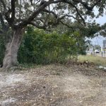 listing image thumbnail with ID 5843