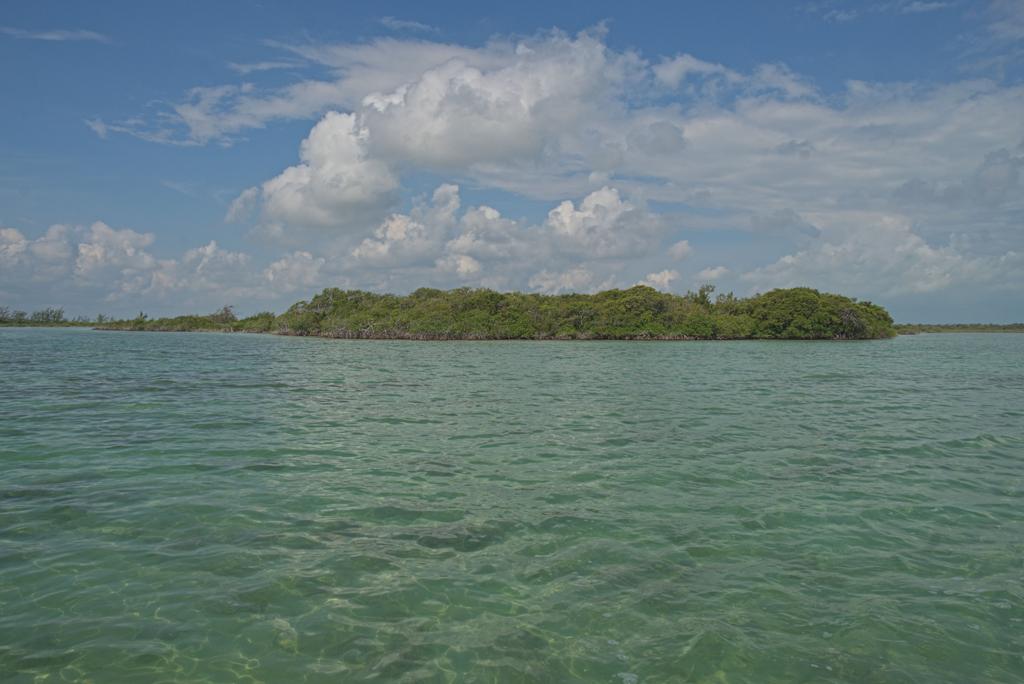 listing image with ID 3639