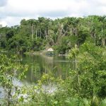 listing image thumbnail with ID 2025