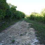 listing image thumbnail with ID 3866