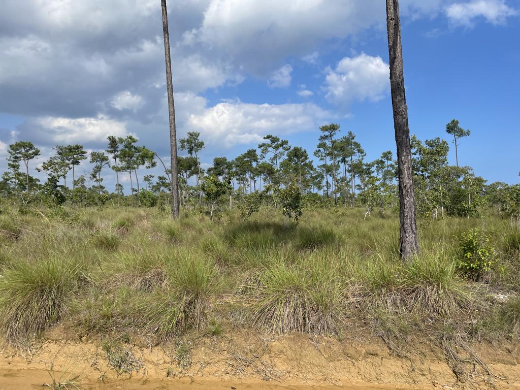 listing image with ID 5070