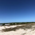 listing image thumbnail with ID 2362