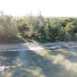 listing image thumbnail with ID 3142