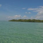 listing image thumbnail with ID 3651