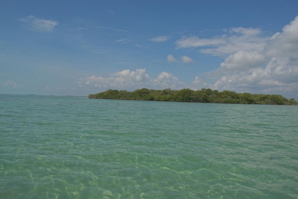 listing image with ID 3651