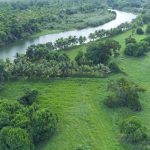 listing image thumbnail with ID 2970