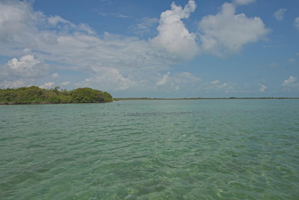 listing image with ID 3646