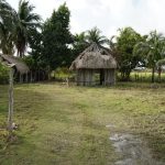 listing image thumbnail with ID 3136