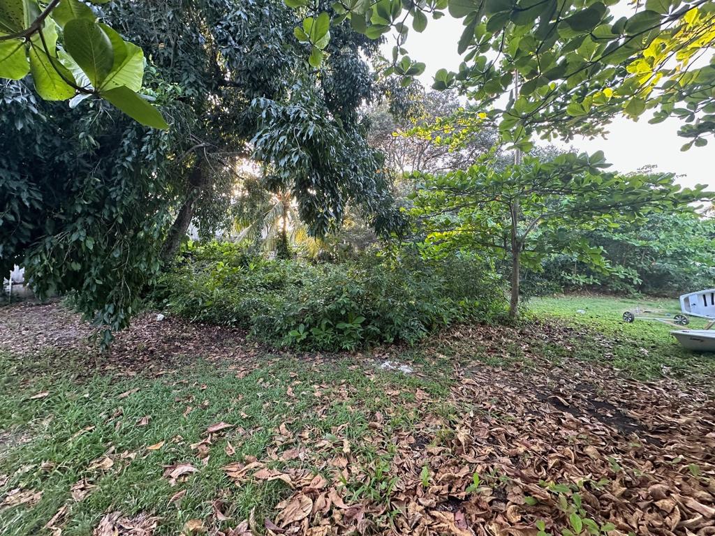 listing image with ID 6335