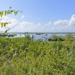 listing image thumbnail with ID 1632