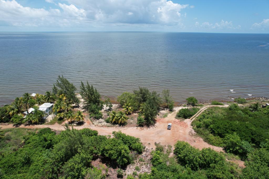listing image with ID 4215