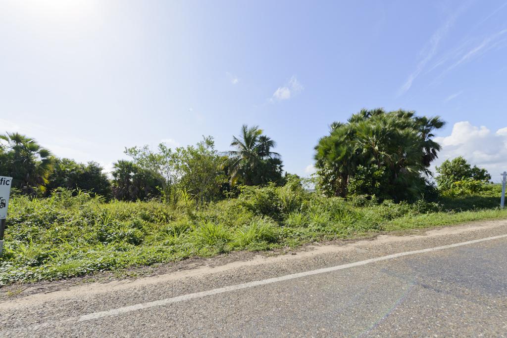 listing image with ID 1626