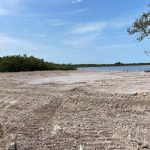 listing image thumbnail with ID 2242