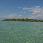 listing image thumbnail with ID 3654