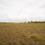 listing image thumbnail with ID 2682