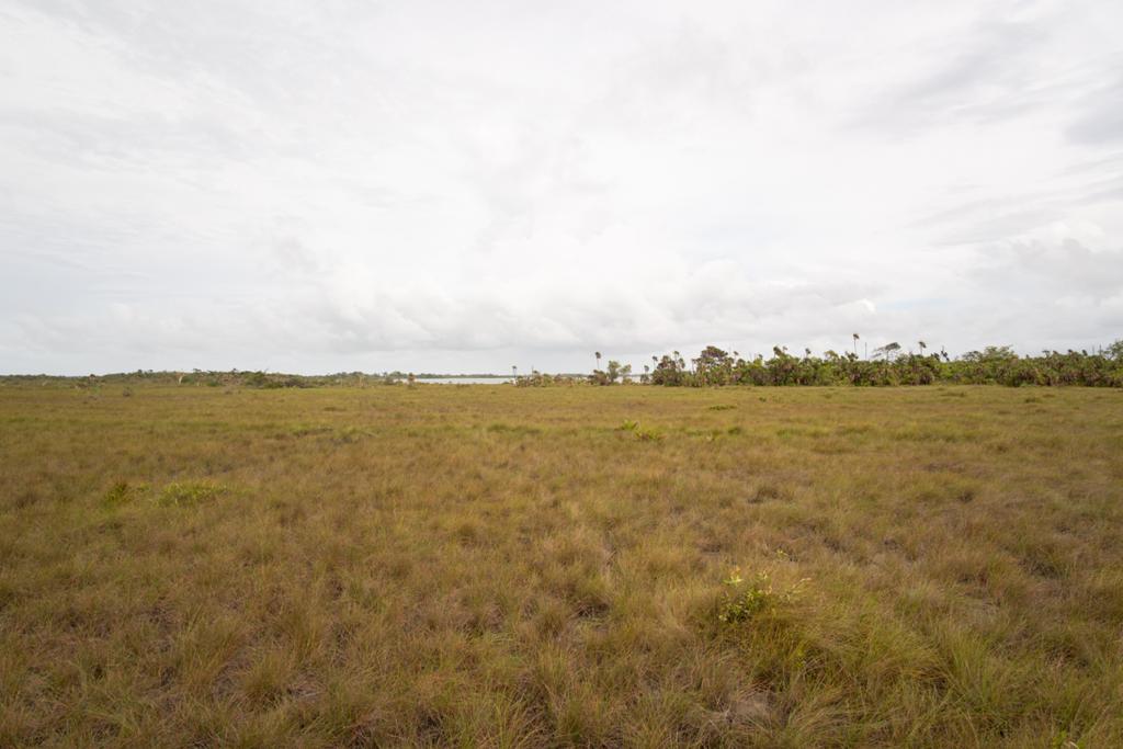 listing image with ID 2682