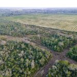 listing image thumbnail with ID 5392