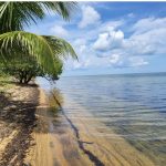 listing image thumbnail with ID 2517