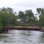 listing image thumbnail with ID 2558