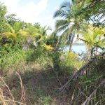 listing image thumbnail with ID 2516