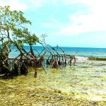 listing image thumbnail with ID 1745