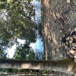 listing image thumbnail with ID 4783