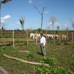 listing image thumbnail with ID 2023