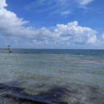 listing image thumbnail with ID 2319