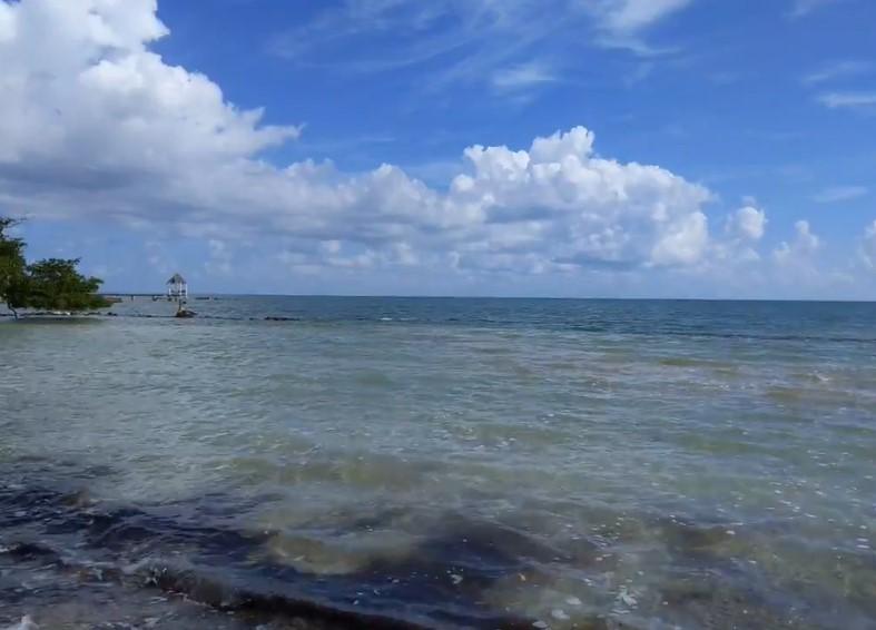 listing image with ID 2319