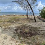 listing image thumbnail with ID 2532