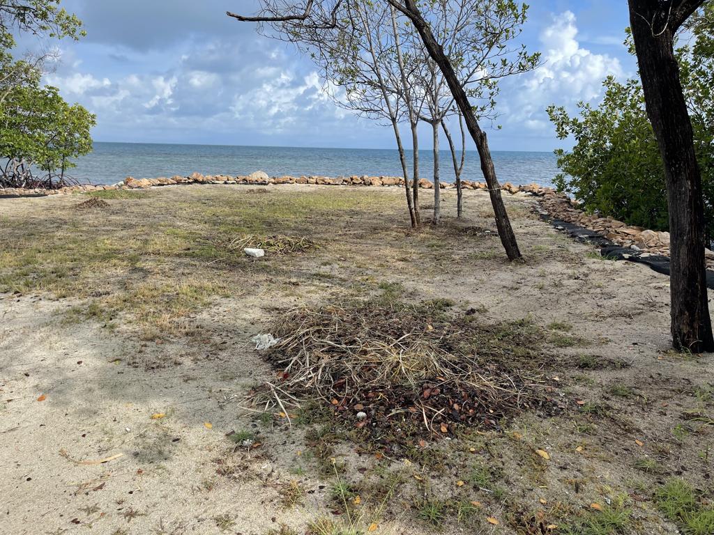 listing image with ID 2532