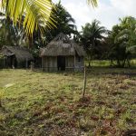 listing image thumbnail with ID 3135