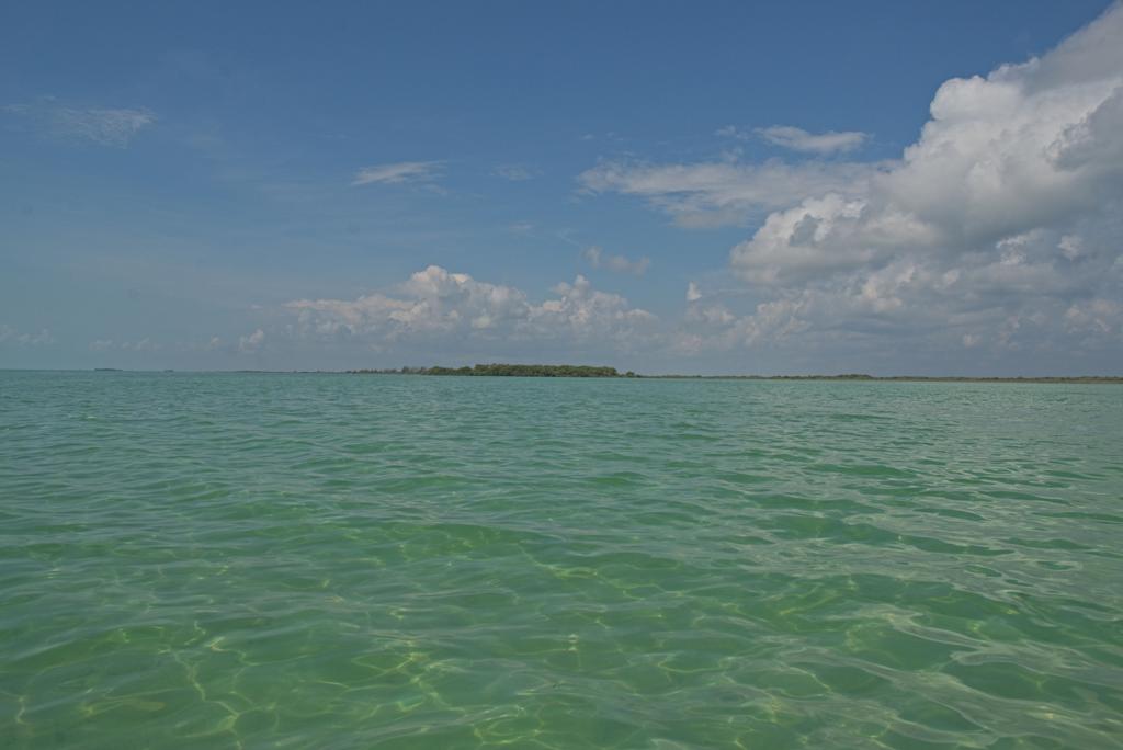 listing image with ID 3650