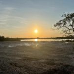 listing image thumbnail with ID 2240