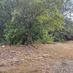 listing image thumbnail with ID 5842