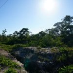 listing image thumbnail with ID 1555