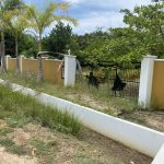 listing image thumbnail with ID 4115