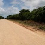 listing image thumbnail with ID 2210