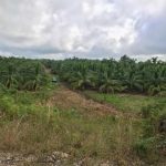 listing image thumbnail with ID 3751